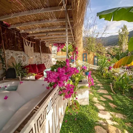 Begonvilla Bungalows *