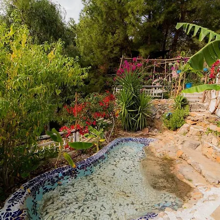 Begonvilla Bungalows