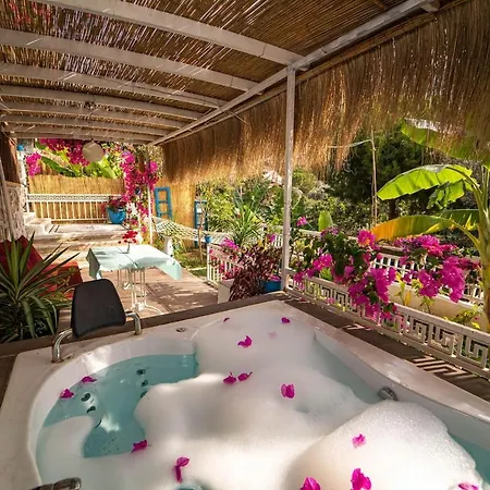 Hotel Begonvilla Bungalows