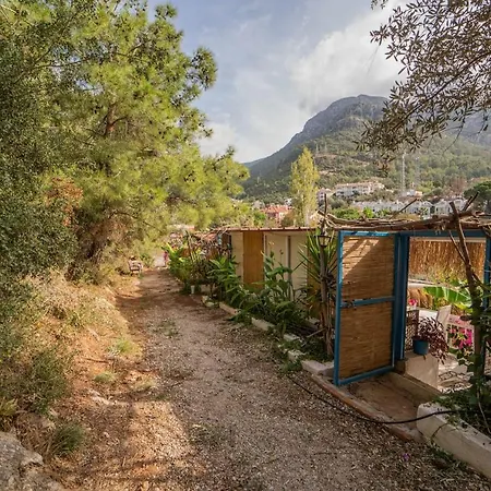 Hotel Begonvilla Bungalows *