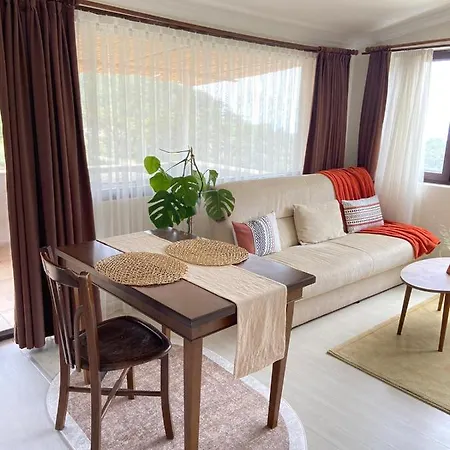 Begonvilla Bungalows Hotel