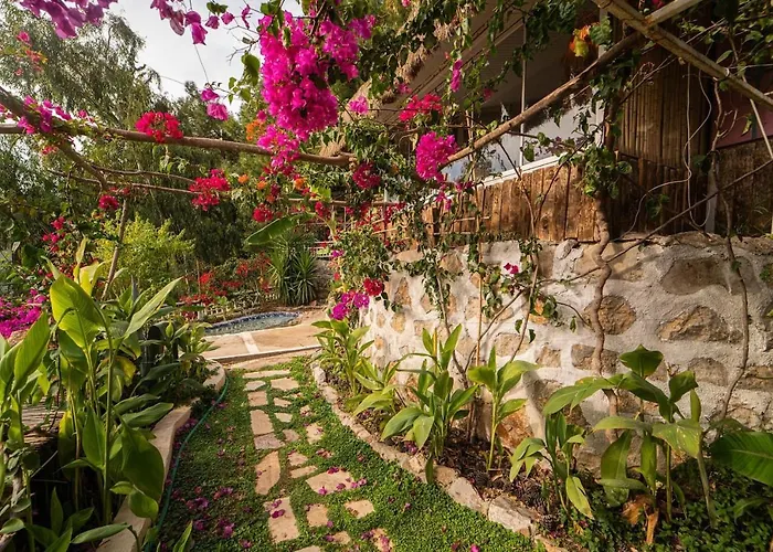 Hotel Begonvilla Bungalows