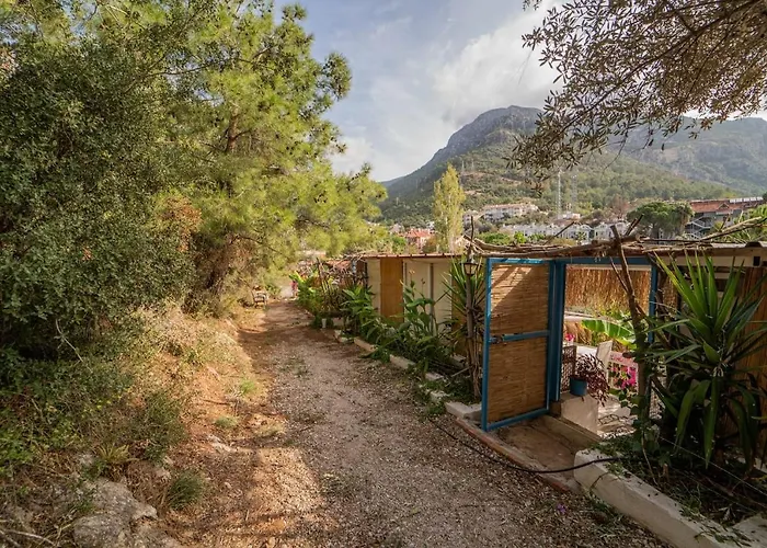 Hotel Begonvilla Bungalows *