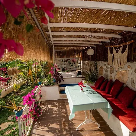 Begonvilla Bungalows * 페티예