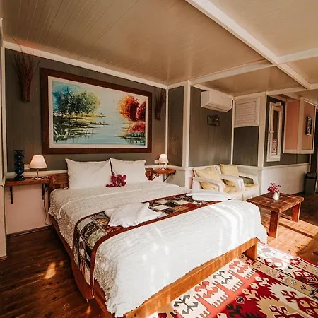 Begonvilla Bungalows * 费特希耶