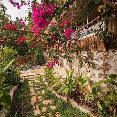 Otel Begonvilla Bungalows