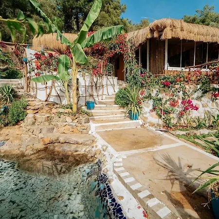 Begonvilla Bungalows מלון *