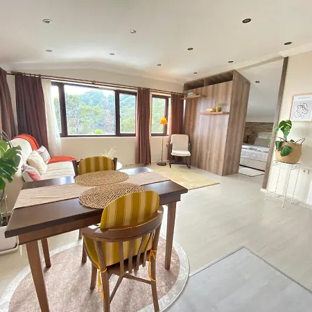 Begonvilla Bungalows 费特希耶