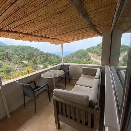 Begonvilla Bungalows 费特希耶