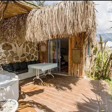 Begonvilla Bungalows * 费特希耶