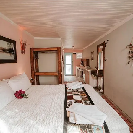 Begonvilla Bungalows * 费特希耶