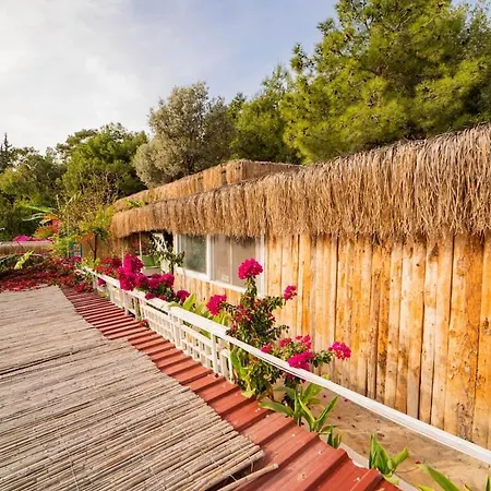 Begonvilla Bungalows מלון