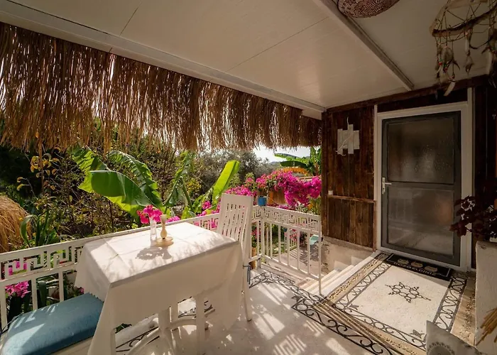 酒店 Begonvilla Bungalows *