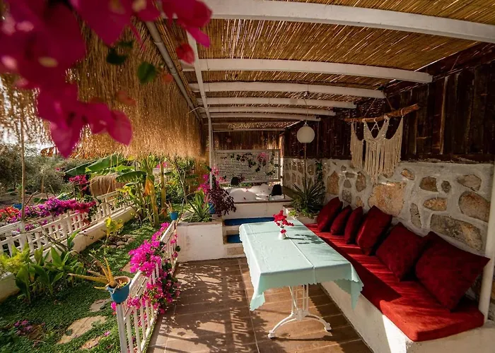 Begonvilla Bungalows * 费特希耶