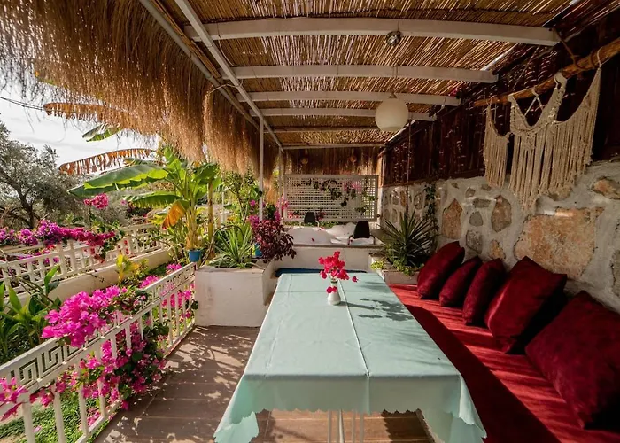 Begonvilla Bungalows 费特希耶