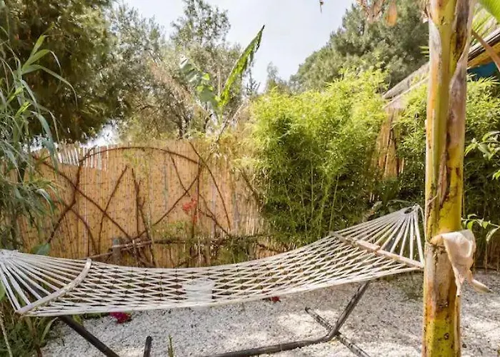 Begonvilla Bungalows *