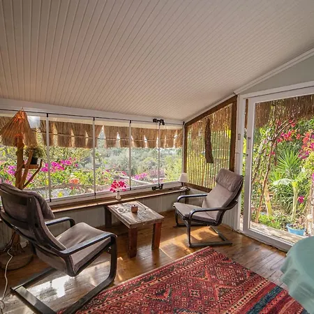 Begonvilla Bungalows