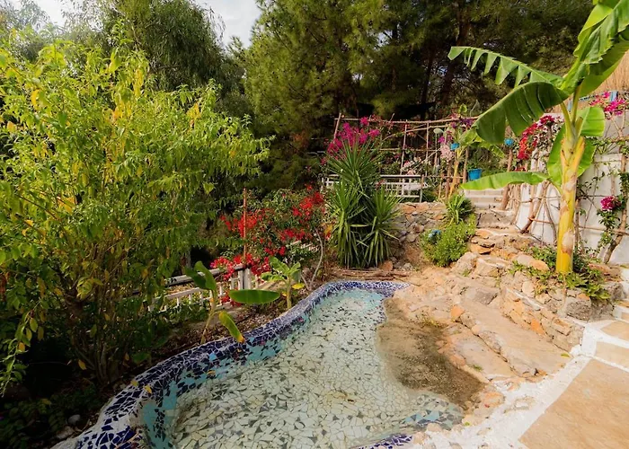 Begonvilla Bungalows