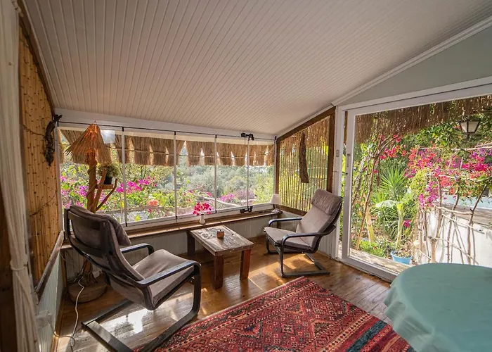 Begonvilla Bungalows