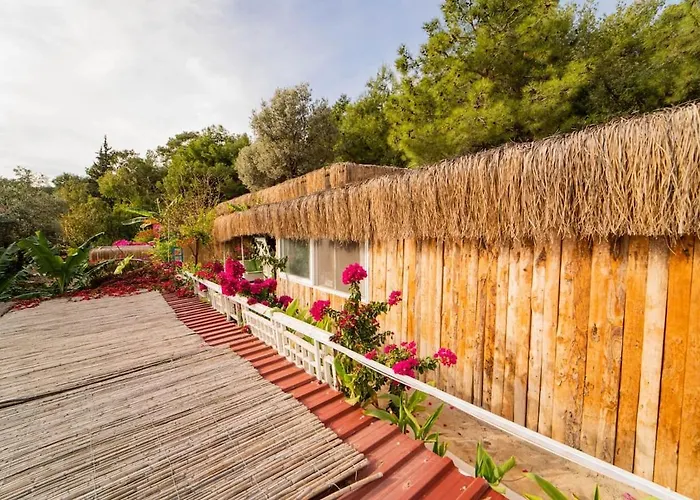 Begonvilla Bungalows Hotell